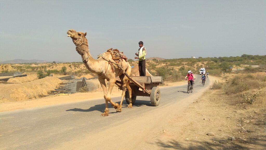 Rajasthan Cycling Tour