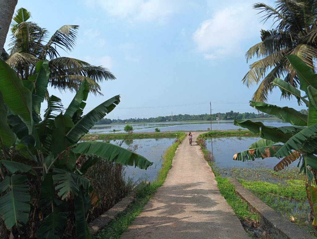 beach and backwaters (3)