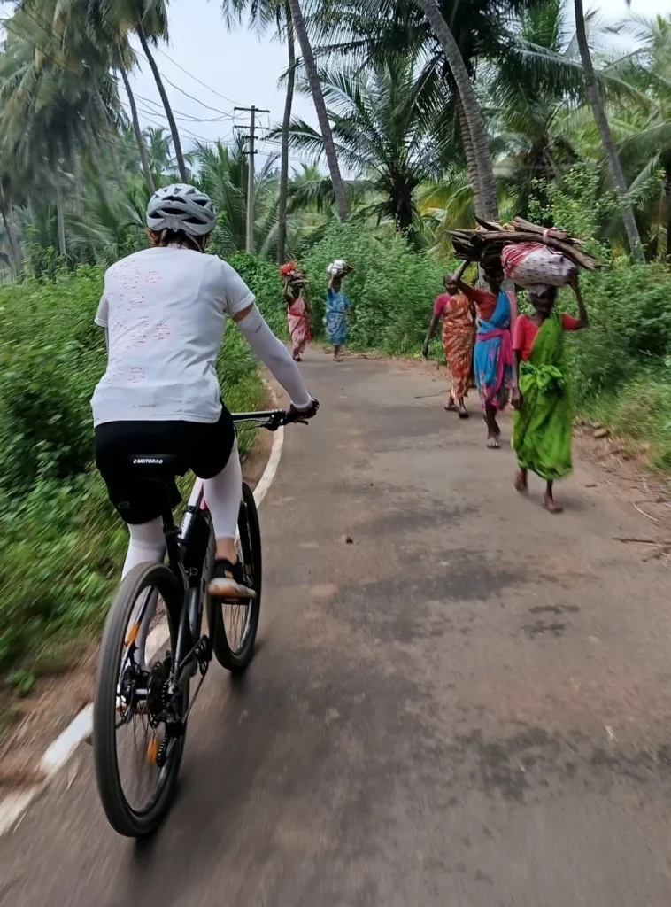 jungle trail gallery (2)