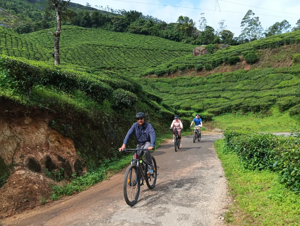 wildlife and cycling