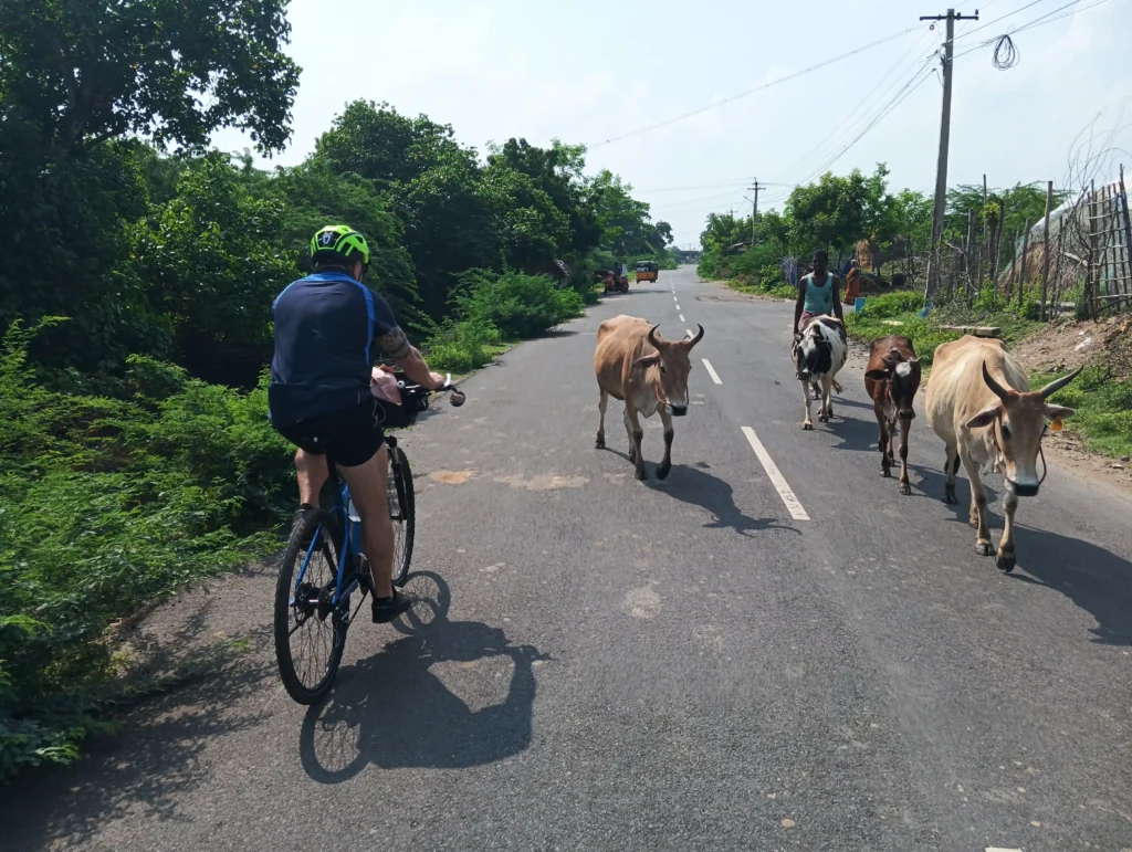 wildlife and cycling gallery